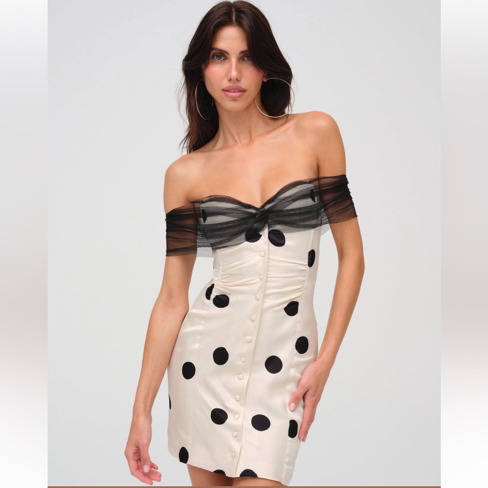 New For  love and lemons Dorothy dress